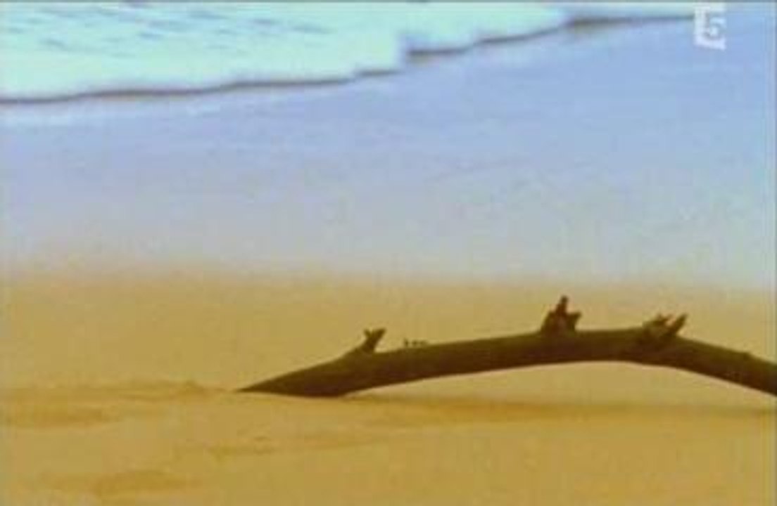 Documentaire Japon - Tokyo Parti 1