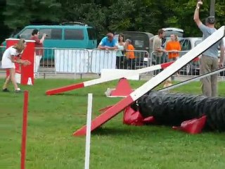 Cindy et Dana-Belle agility Toul 2010 Grand Prix de France