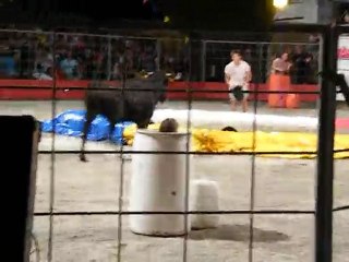 19 août 2010 bis (1)