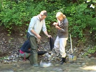 Swiss alpine valleys get leisurely 'gold rush'