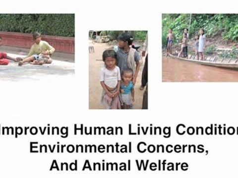 Top Home Based Businesses