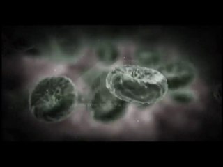 Videos de lanzamientos, inductivos, información y promoción