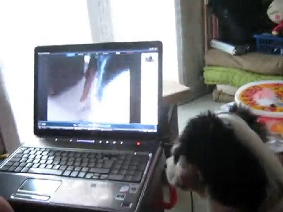 fourby qui se regarde