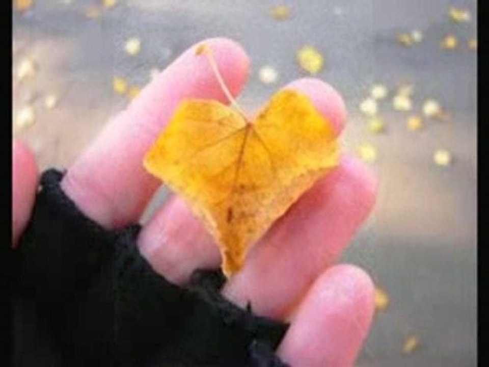 Ex Love - Esra Kahraman