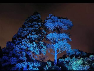 FRANK SINATRA - Strangers In The Night