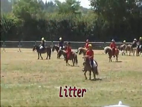 Lamotte 2010 Pony Games Benjamins Elite Manche 1