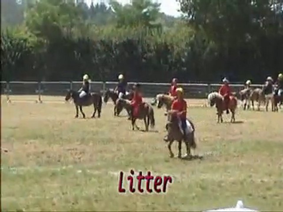 Lamotte 2010 Pony Games Benjamins Elite Manche 1
