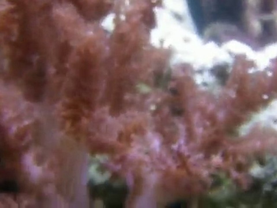 La vue interieur de mon RSM 130