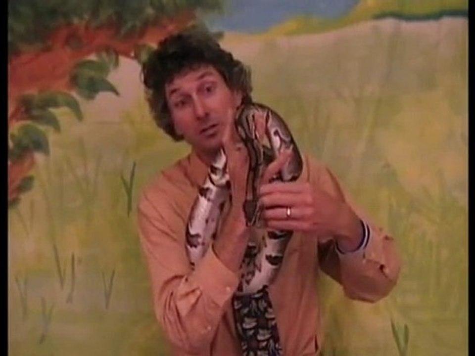 Merlin the Ball Python