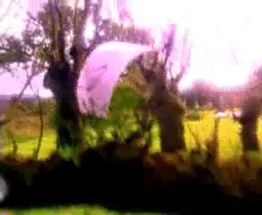 Rüyaların Bilimi (1)