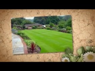 www.Watering-Your-Lawn.info| dead spots in the lawn dead sp