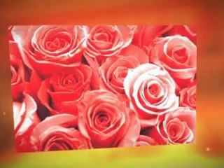 Rekindle An Intimate Connection With Your Partner