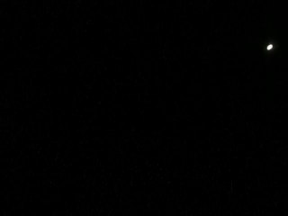 Mes loups répondent aux coyotes