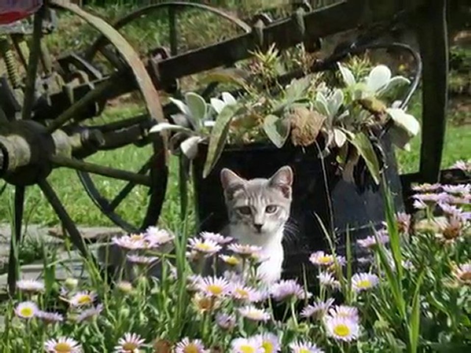 Bleuette, deux mois avec nous...