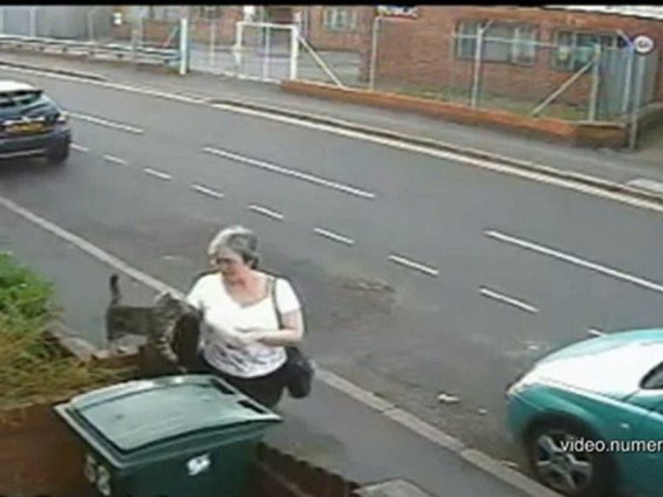 elle jette un chat à la poubelle - 01news