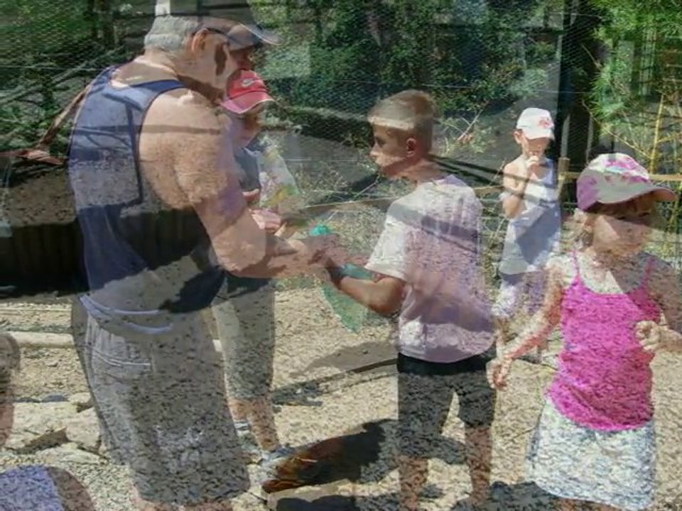 Sortie coulée du cerf Eté 2010