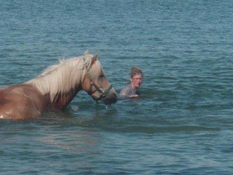 Baignade: Baïla, Safran et Tempête