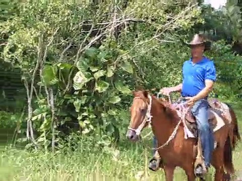 CUBA : Vaqueros cubains à cheval