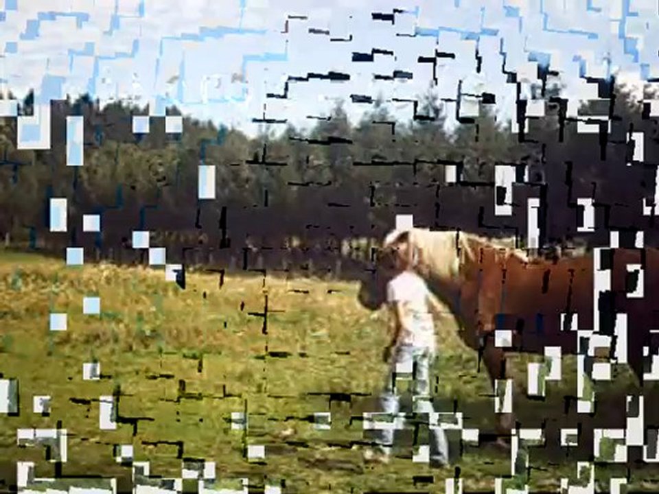 travail Taquine & Carla