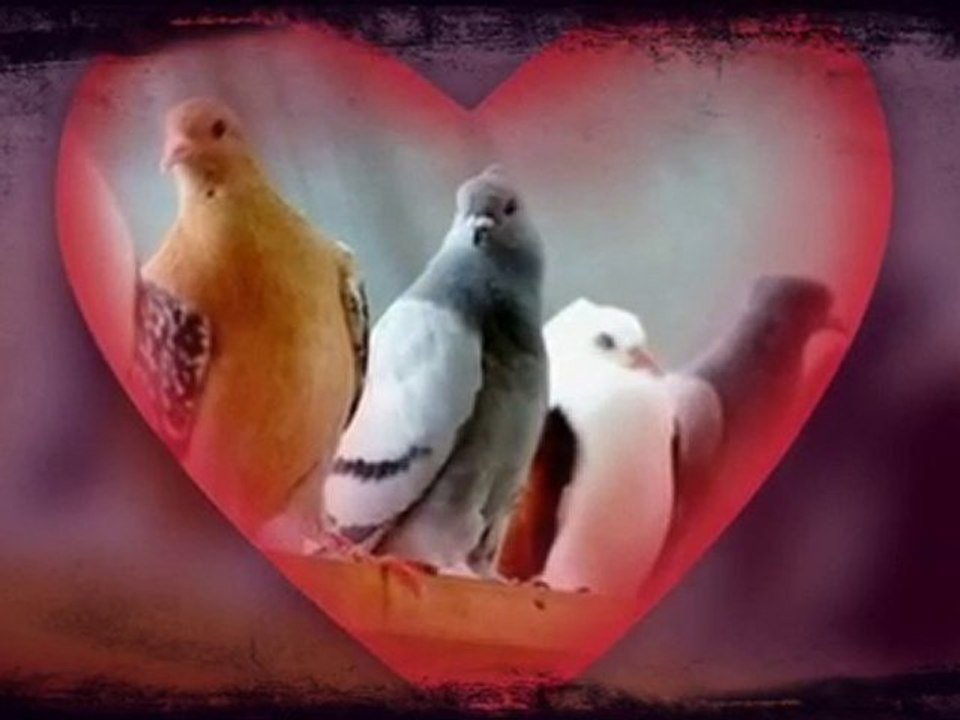 ben ve arkadaşlarım