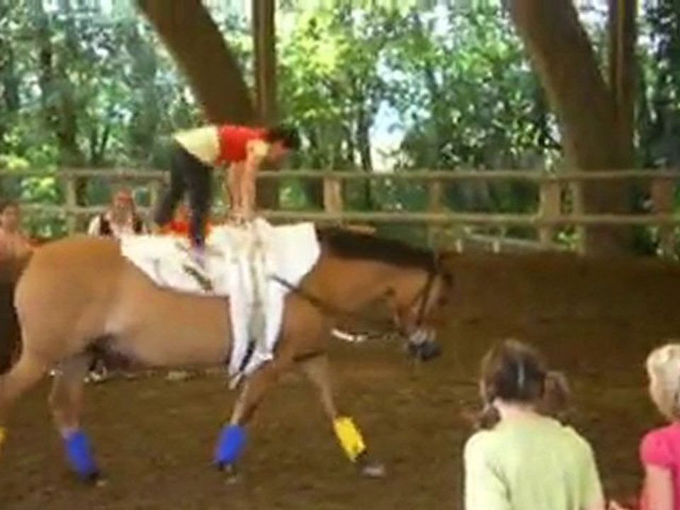 voltige 12 juin 2010