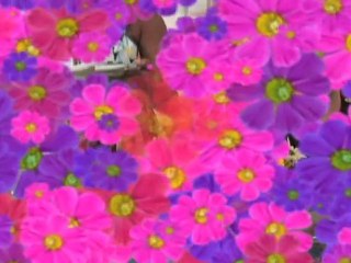 Jade Breath Enhancers