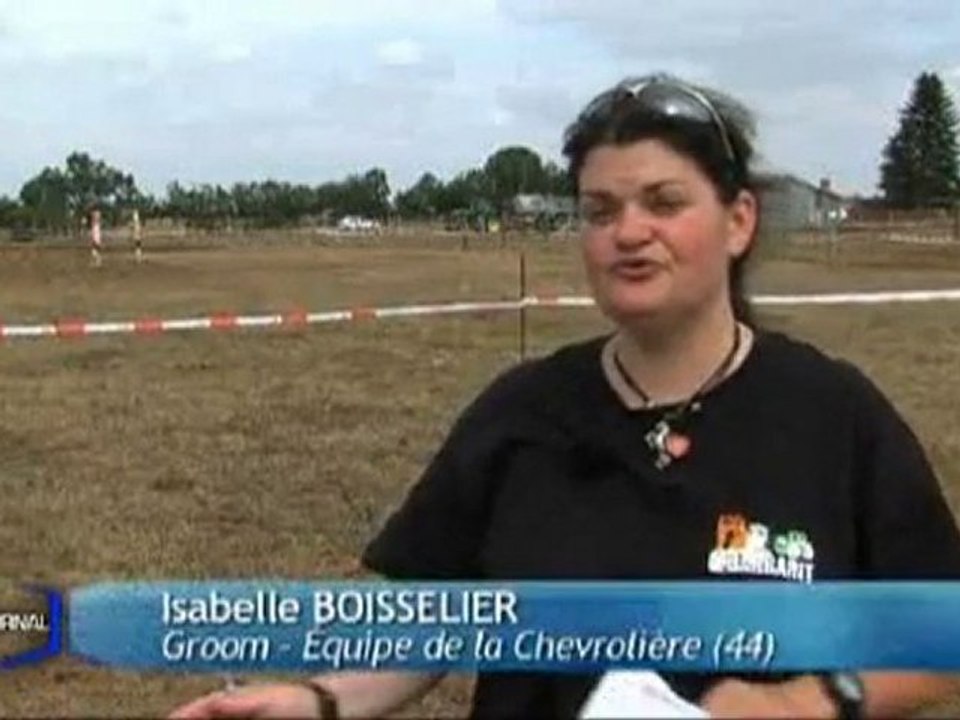 Concours national d'attelage à Champagné-les-Marais