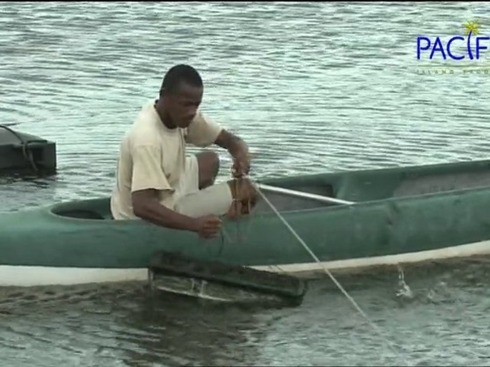 Madagascar, le miracle de la crevette