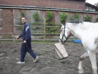 marcher avec le tapis