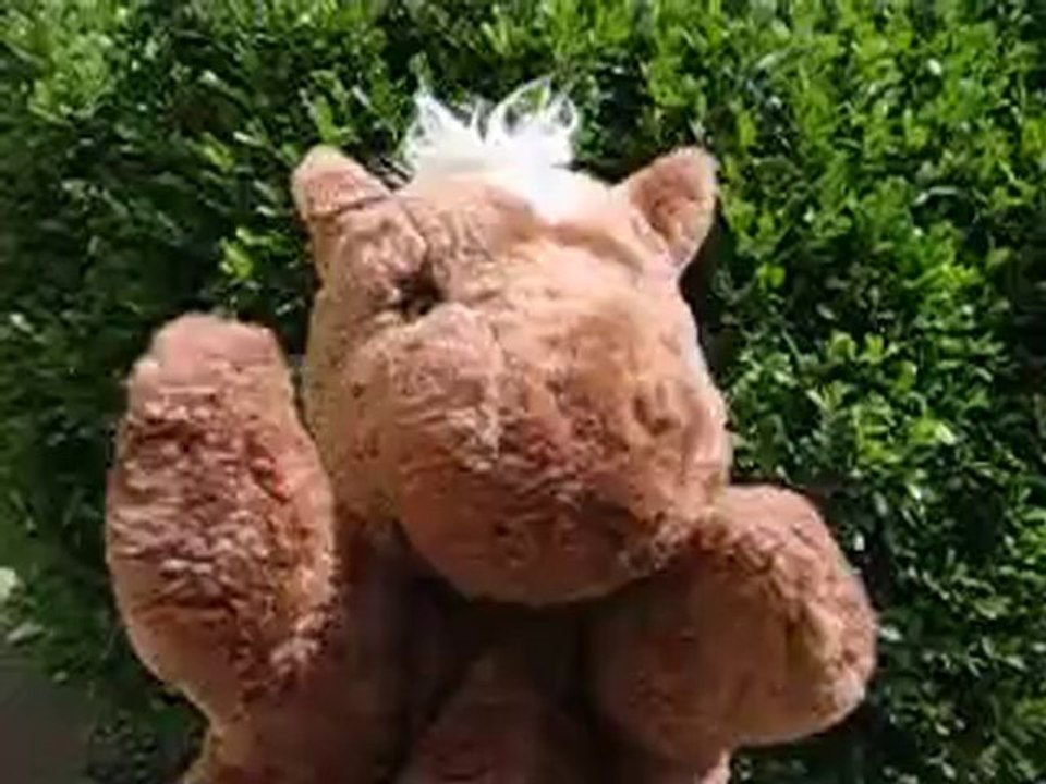 Test  FIREFOX