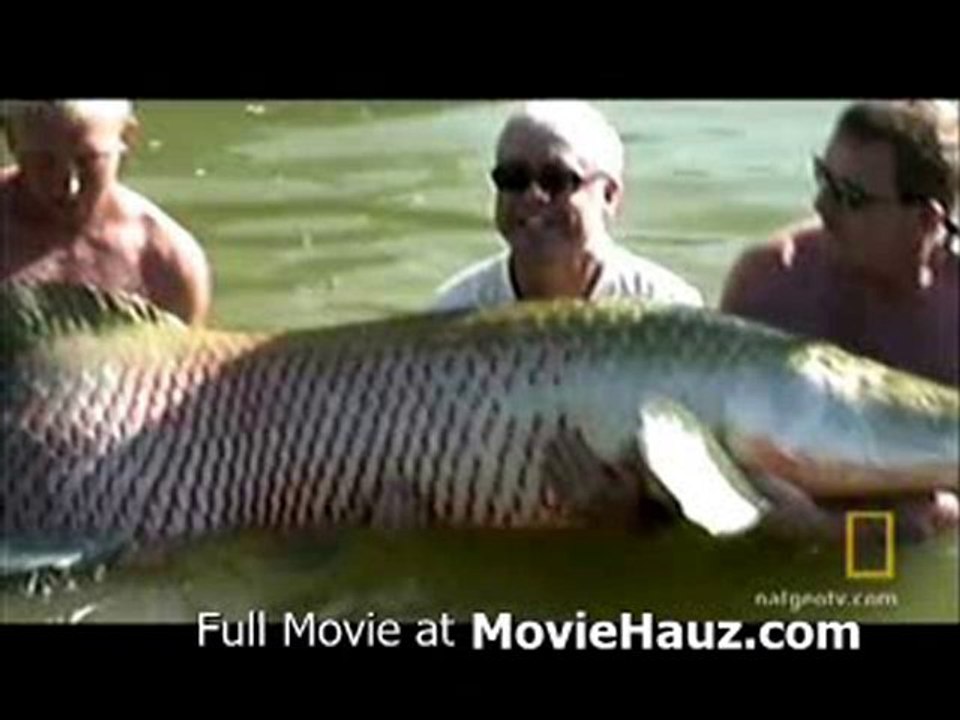 Hook, line and Stinker (1958) Part 1 of 14