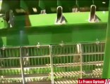 Deutz-Fahr : une moissonneuse non-conventionnelle