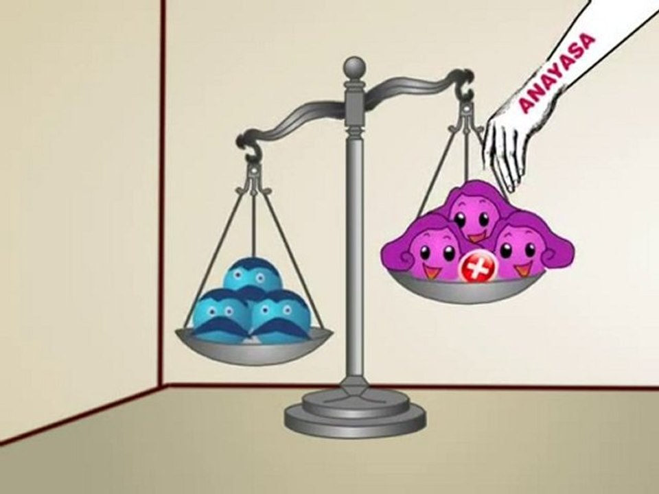 Anayasa Değişikliği-8