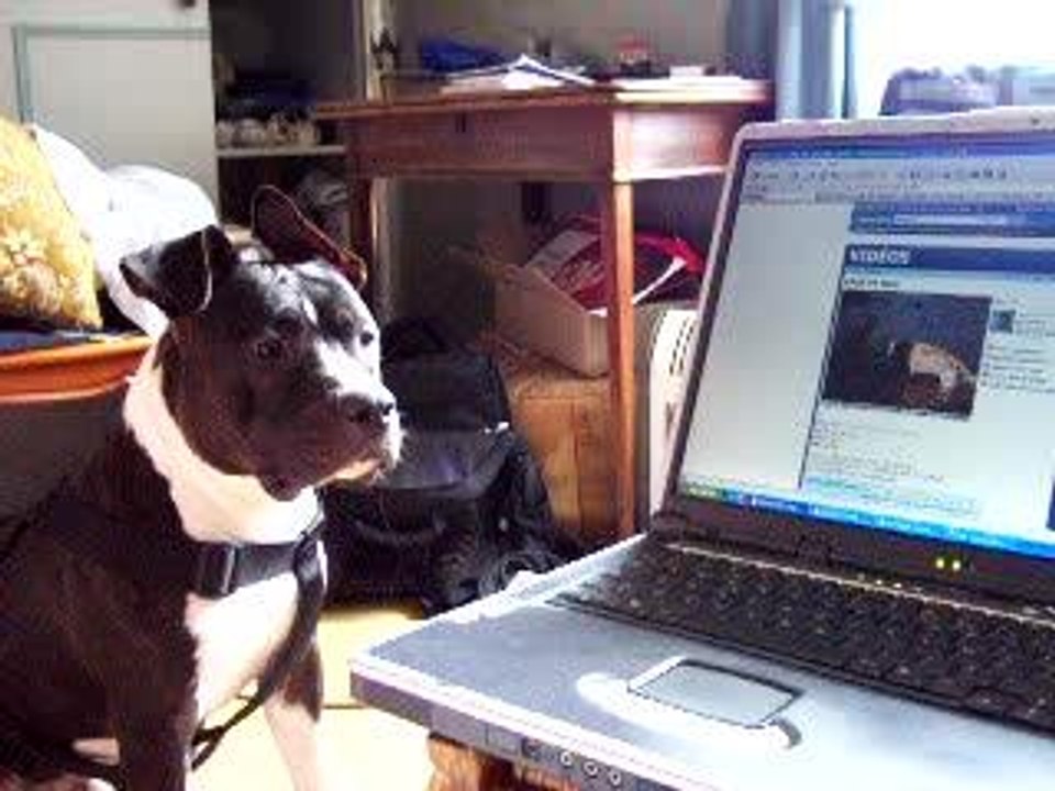 Ati découvre Ares et Jimi sur le web