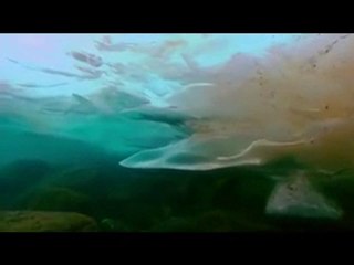 04-mürşidin önemi ve özellikleri