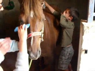 centre equestre 14 aout 1