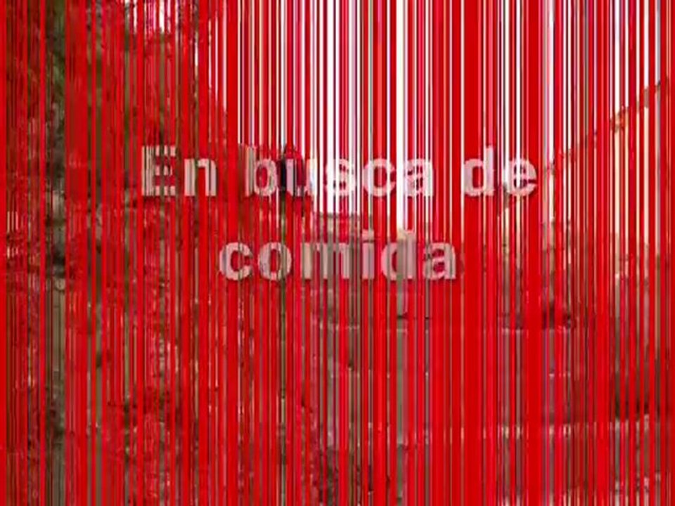 Torrellas 03-07-2010 Parte 2