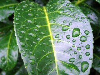 SEN GELMEZ OLDUN... Alihan Samedov