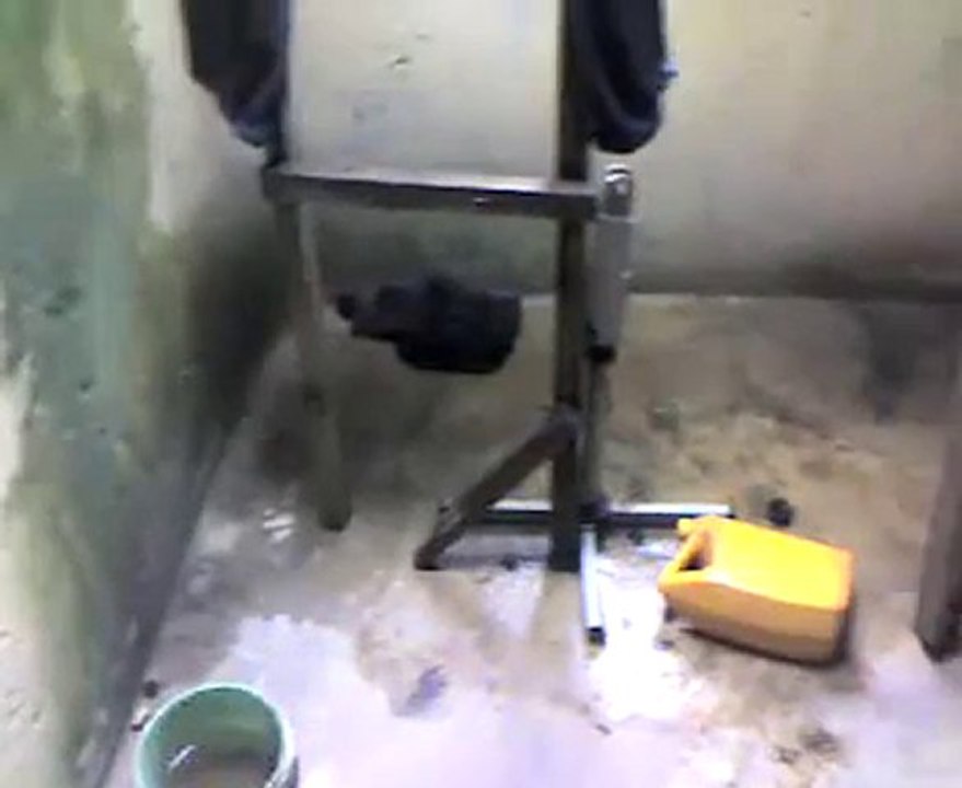 Homeowners Insurance Mold