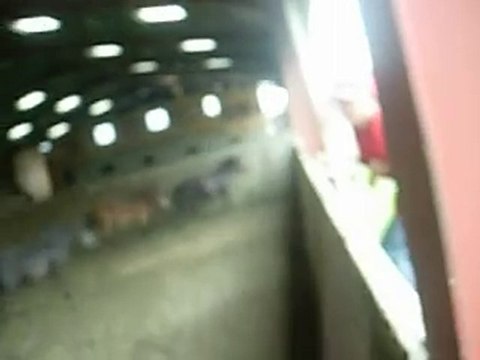 tous les poons de larzille qui se roule