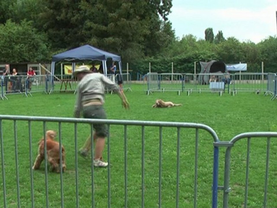 toupy 2e passage courcelle 2010