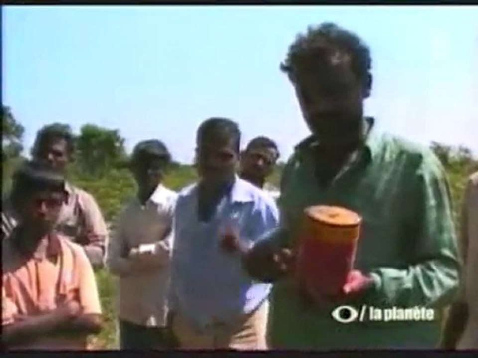 Les OGM en Inde
