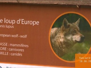 Vues sur le Lac du 18.06.2010