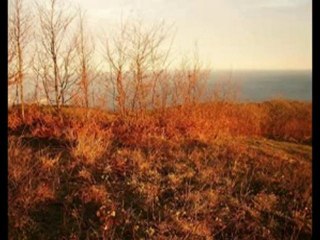 Barış Akarsu-Aldırma