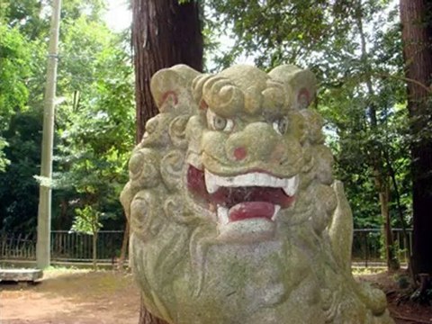 Franky's Japan : Mes petits temples (Tokyo - Chiba - Kashiwa