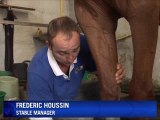 Seawater treatment for race horses in Normandy