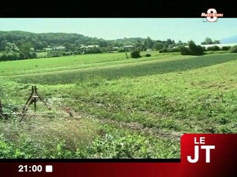 Les paniers de légumes des Triandines