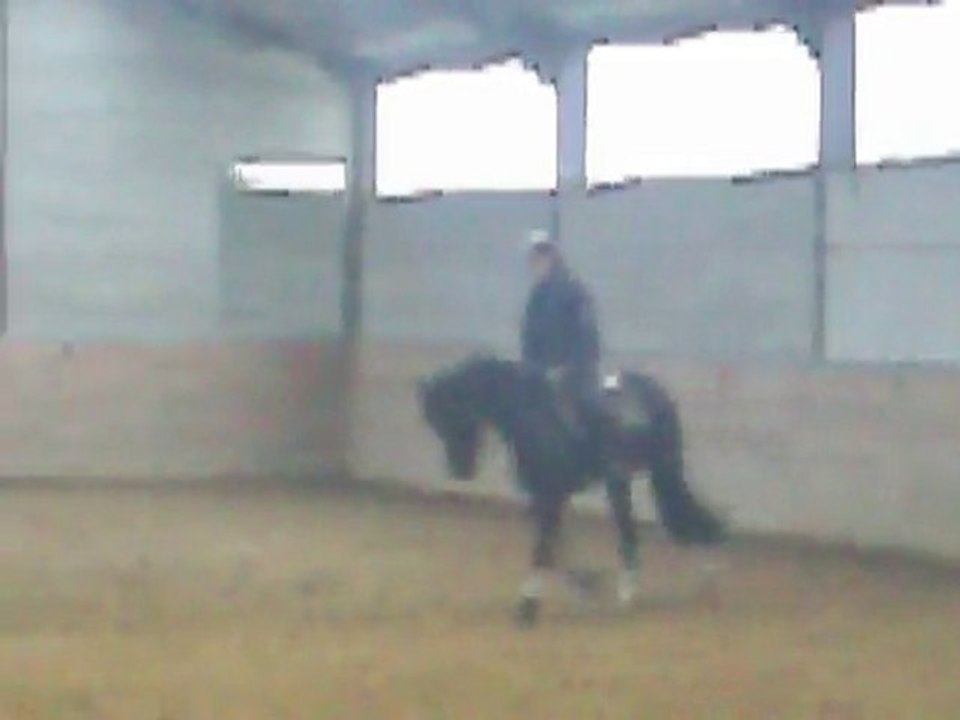 Dressage 08.04.2010 avec Ulysse de Dalles Z