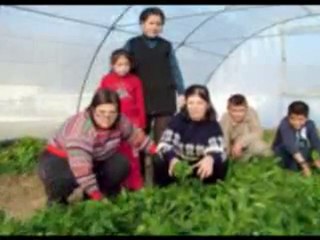 engelleri kaldırıyor