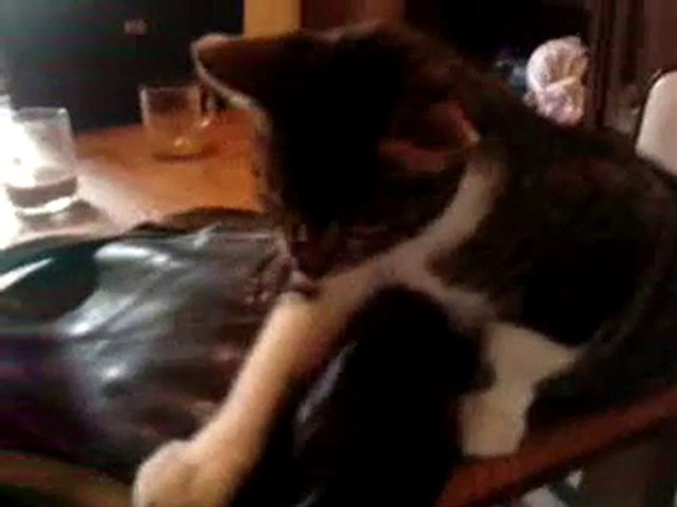 CHAT